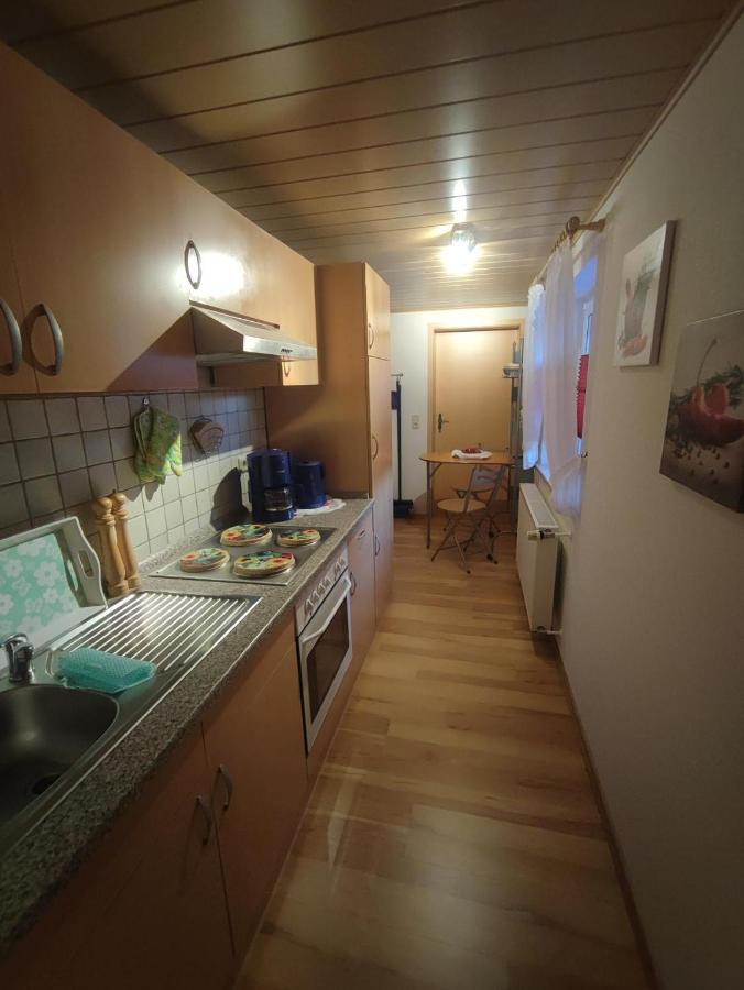 Ferienwohnung Zinke Schmiedefeld am Rennsteig Extérieur photo